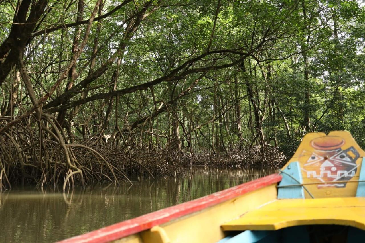 Hotel Marajo - Turismo De Experiencia ซูรี ภายนอก รูปภาพ